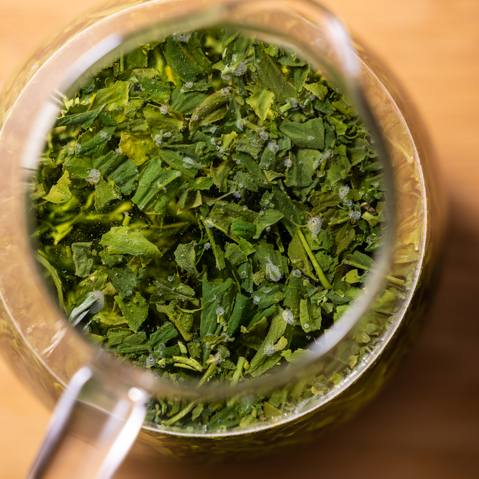 Cold-brewed Sencha