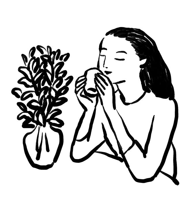 How I enjoy Shincha