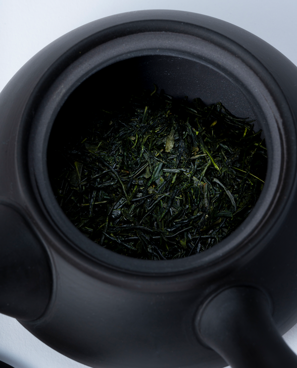 Black Kyusu Teapot (Tokoname-yaki)