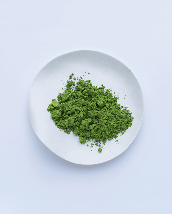 Wakaki-shiro 20g Box