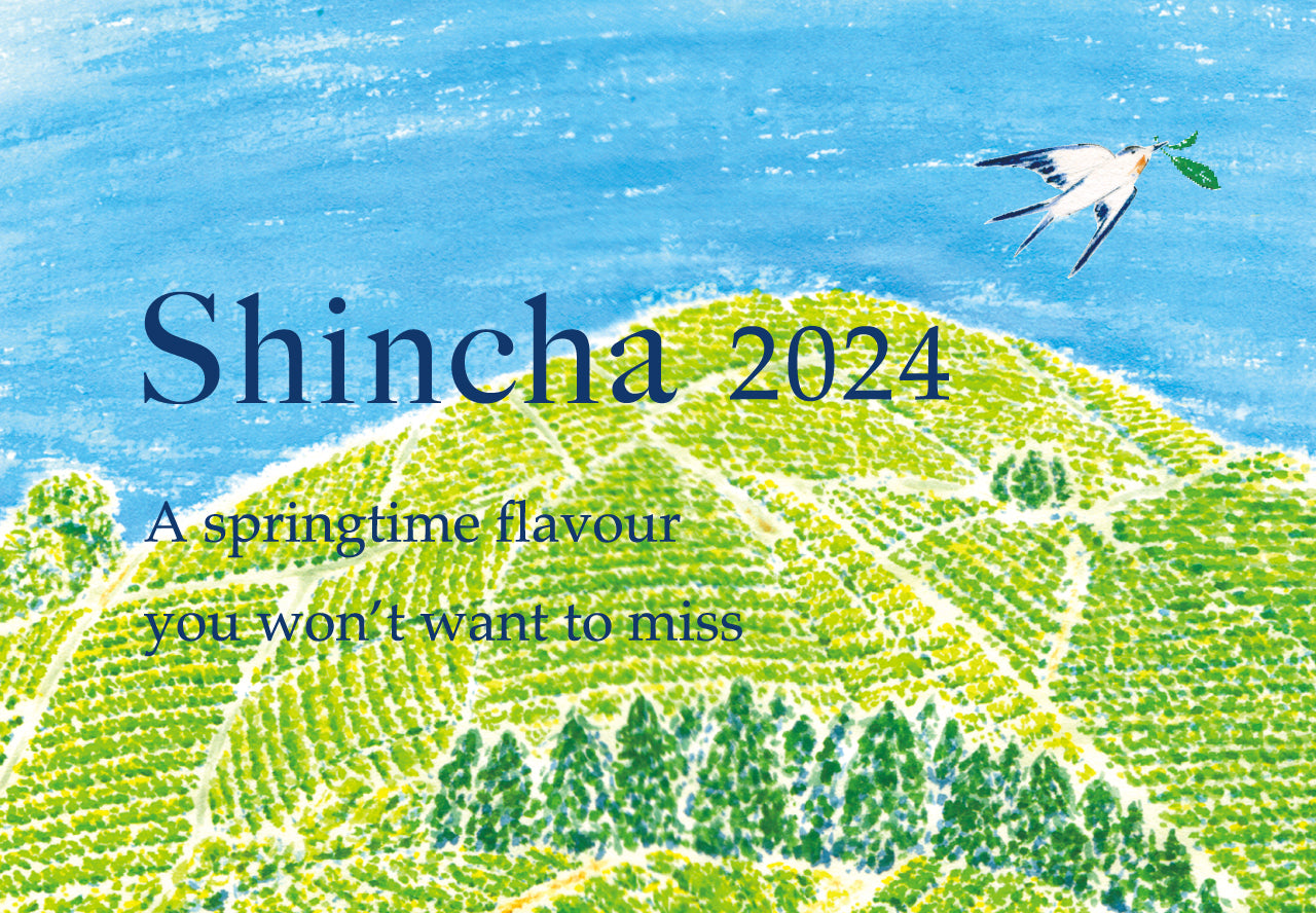 Shincha 2024: Available from May 11th!