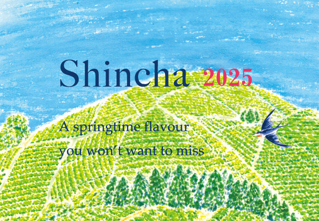 Shincha 2025