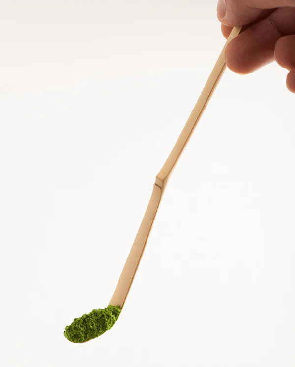 Bamboo Tea Ladle (Chashaku) -Plain