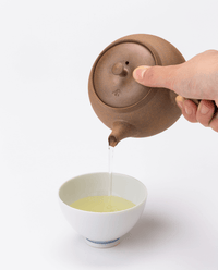 Yakishime Kyusu Teapot (Banko-yaki)