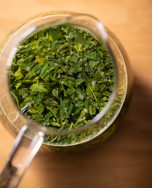 Shincha 95g Can w/box