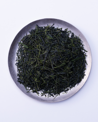 Shincha 95g Can w/box