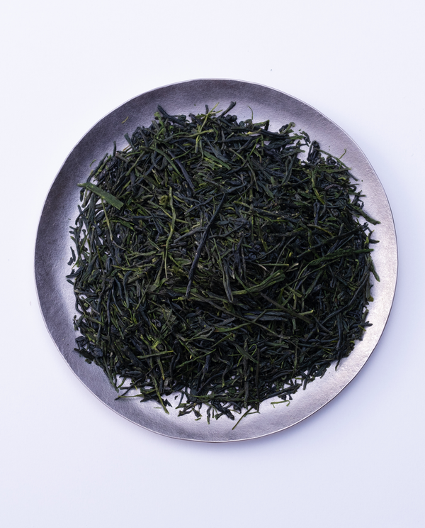 Shincha 95g Can w/box